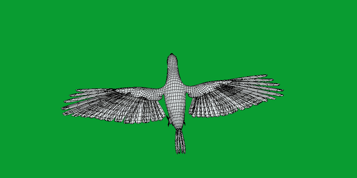 Pesquet Dracula Parrot Bird Low-poly 3D model_11