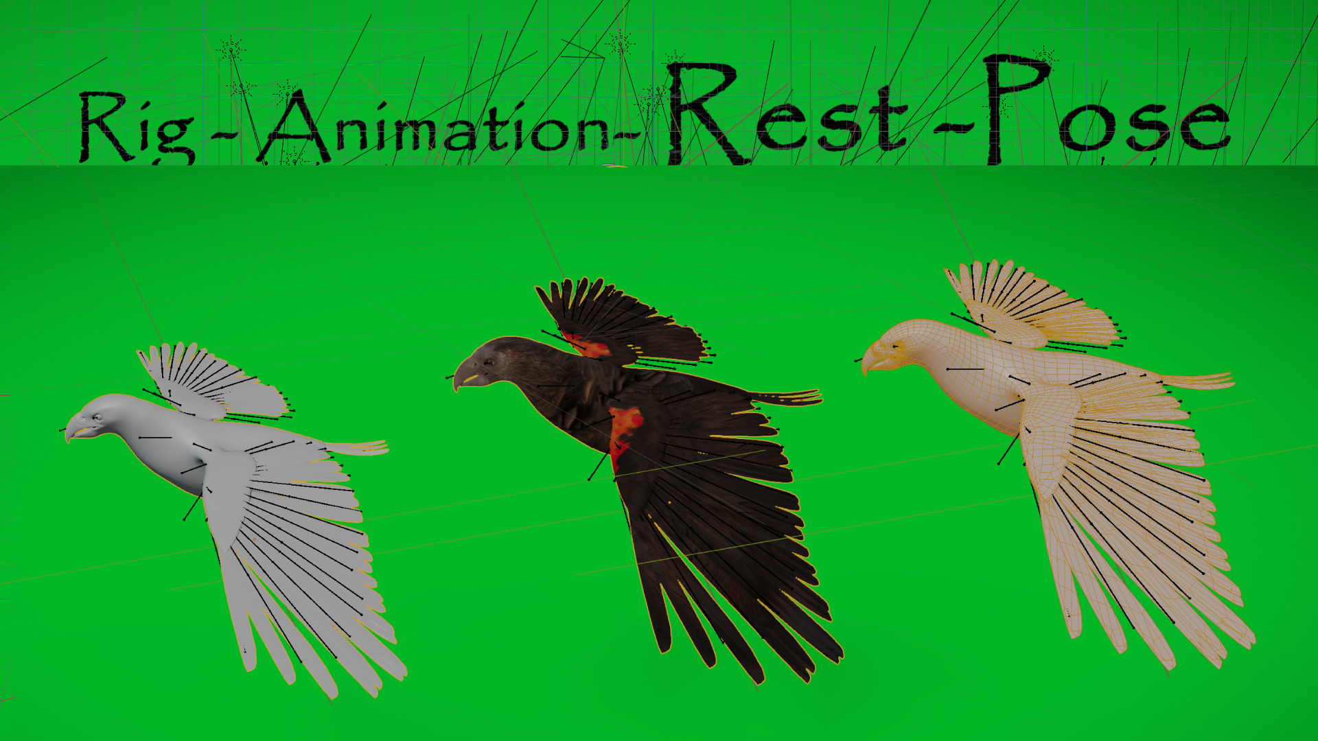 Pesquet Dracula Parrot Bird Low-poly 3D model_6