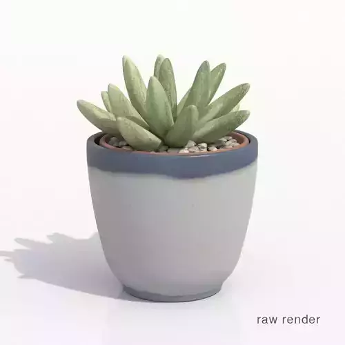 Gasteria Potted Cactus Plant Free 3D model