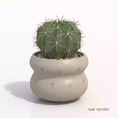 Gymnocalyium Potted Cactus Plant 3D model