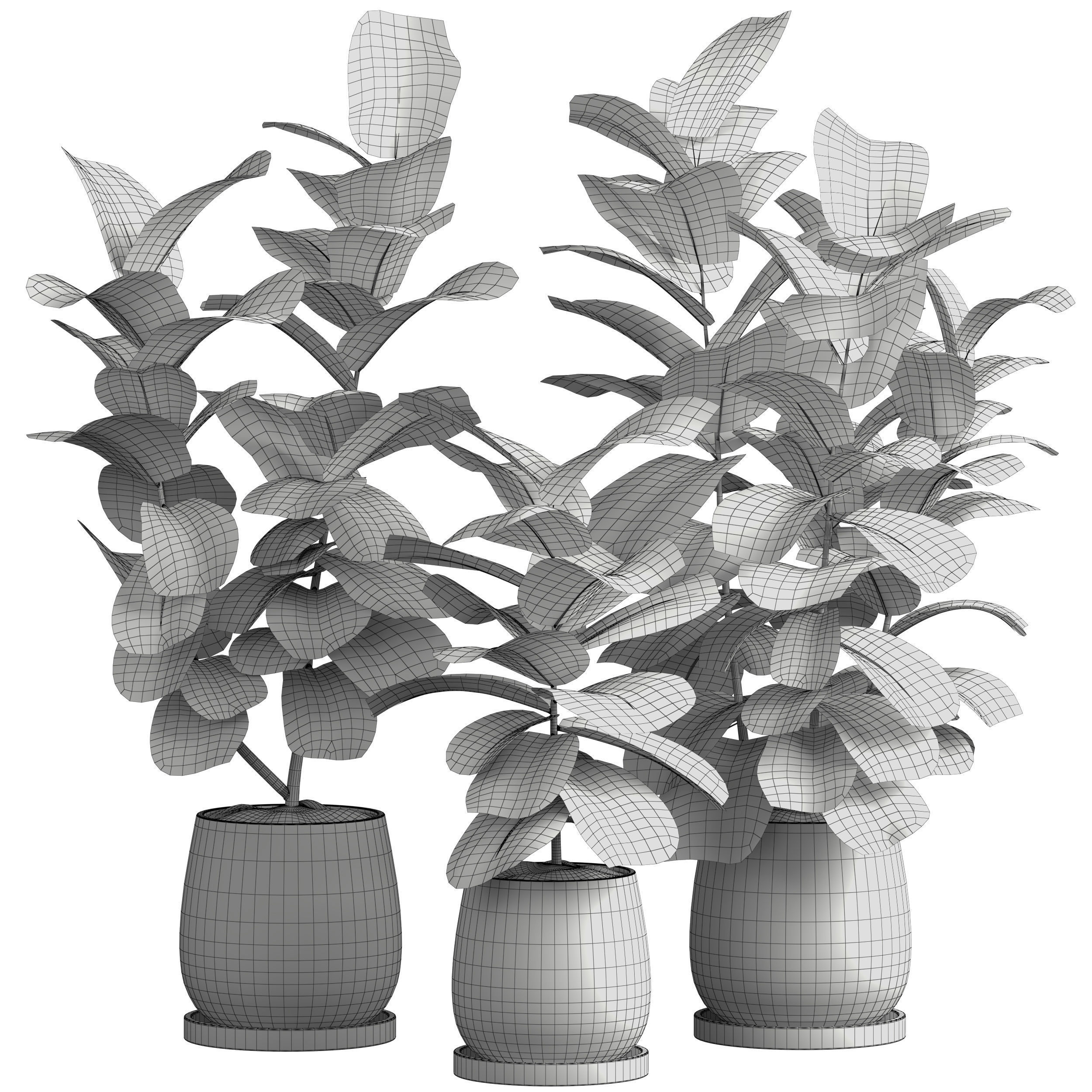 Indoor plant 06 3D model_4