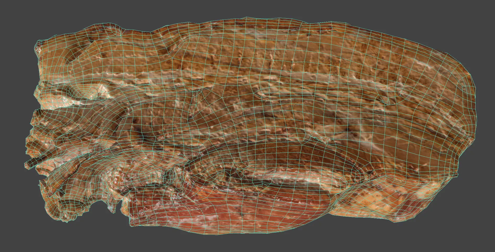 Chashu 3D model_6