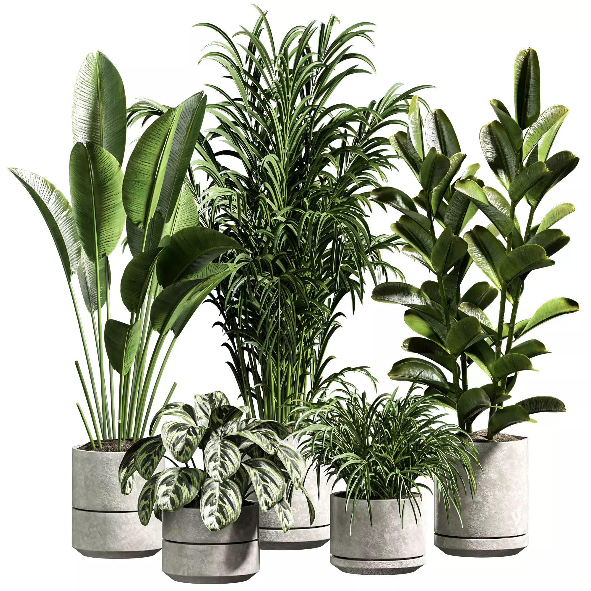 Indoor plant 11 3D model_0