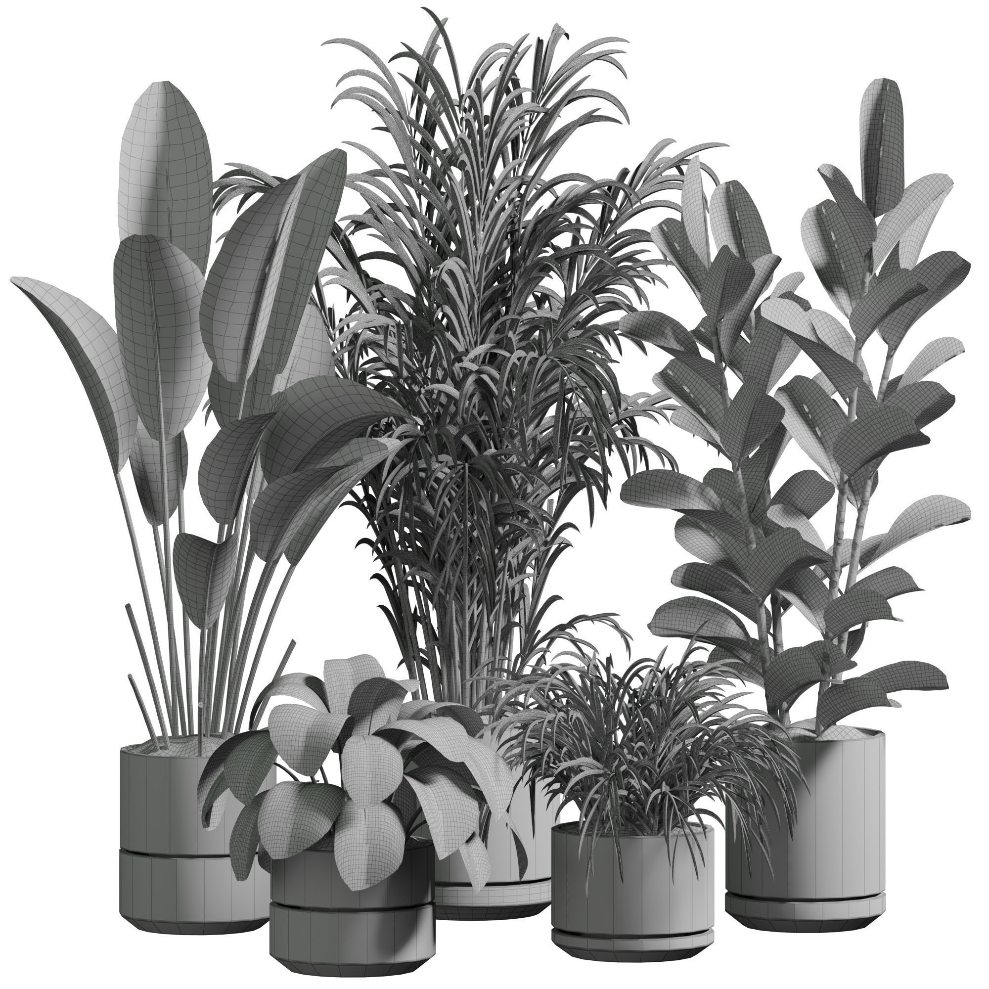 Indoor plant 11 3D model_5
