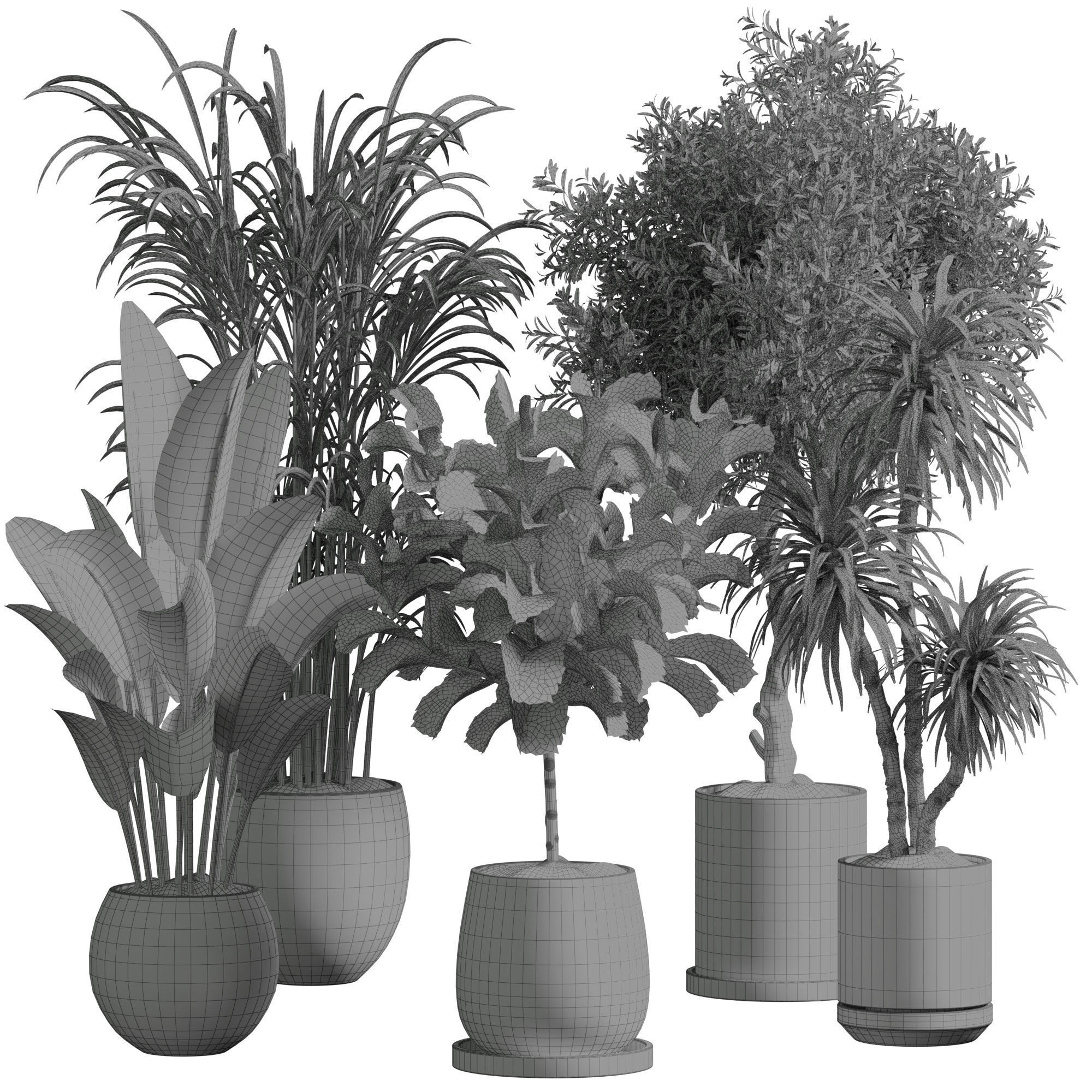 Indoor plant 13 3D model_3