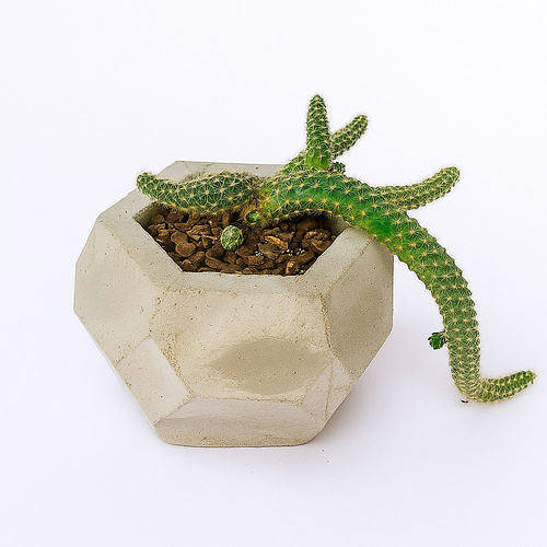 Vase Mold Low Poly 3D print model