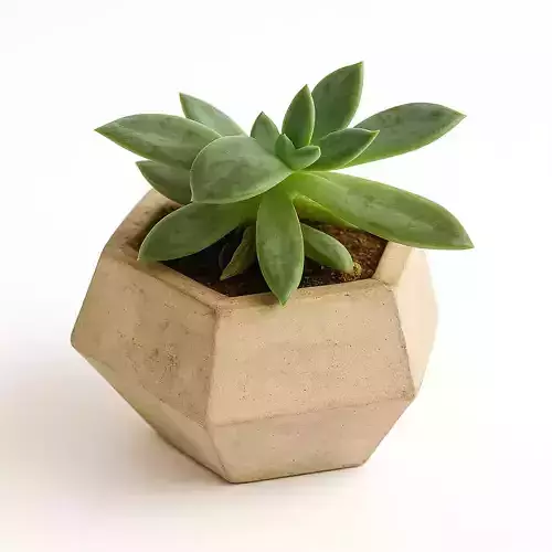 Vase Mold Low Poly 2 3D print model