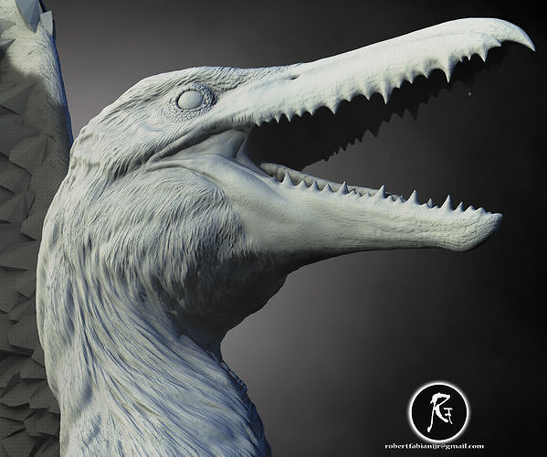 Pelagornis The Giant of the Ancient Skies 3D print model