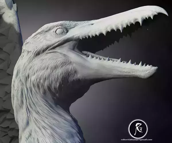 Pelagornis The Giant of the Ancient Skies