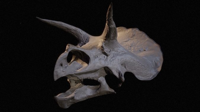 Triceratops Skull 3D Model High-Res Dinosaur Fossil Scan 3D print model