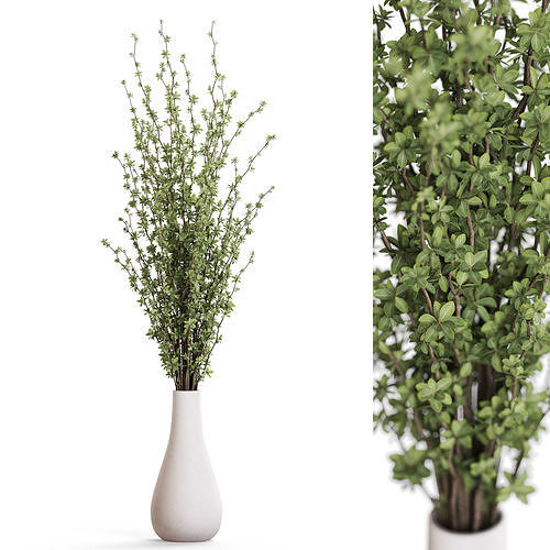 Bouquet 54 3D model