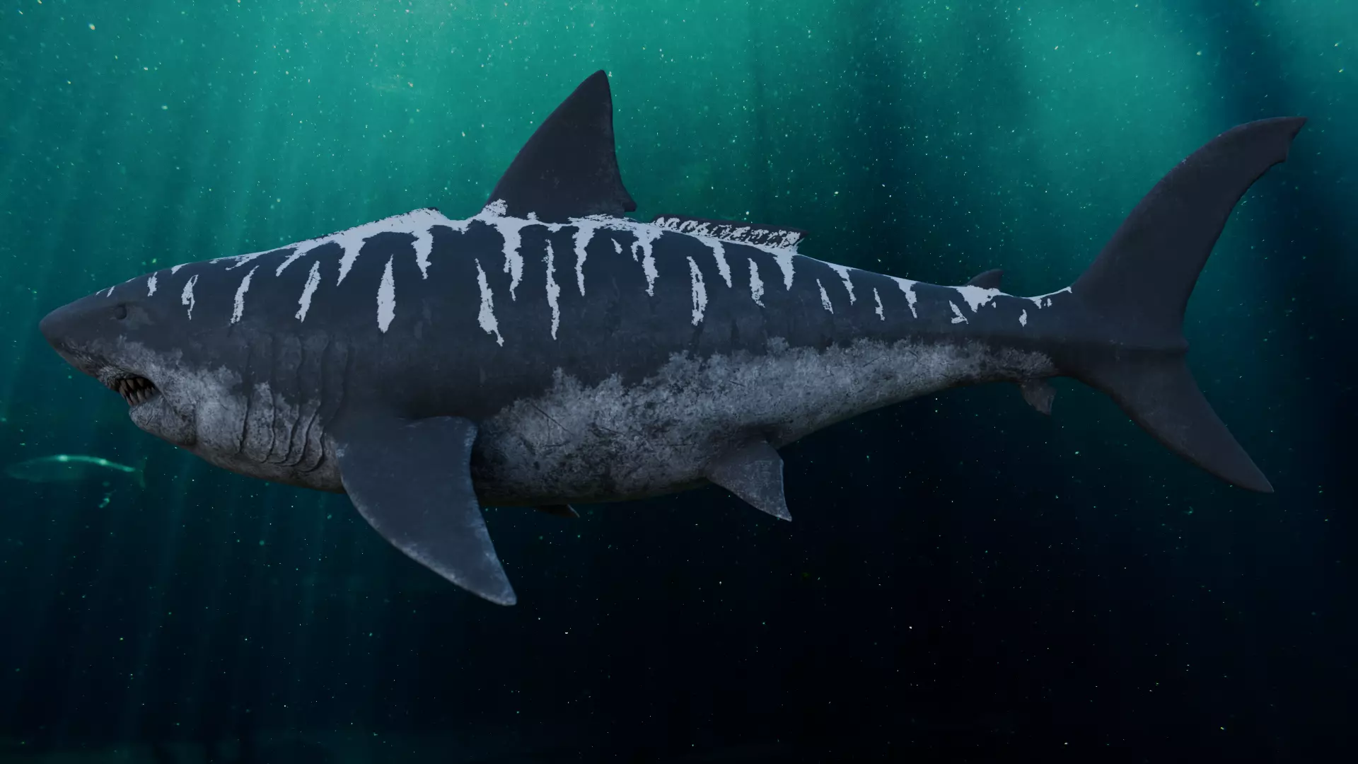 MEGALODON 3D model