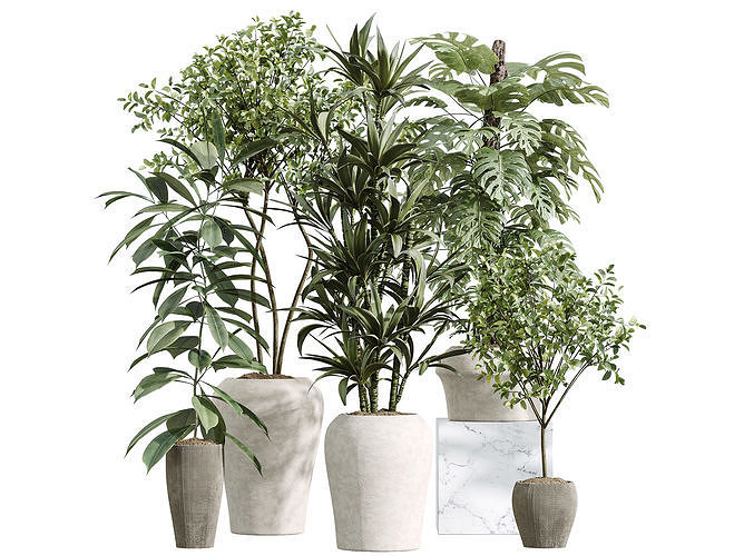 AV Indoor Plants Set 259 Olive Dracaena Monstera Deliciosa 3D model