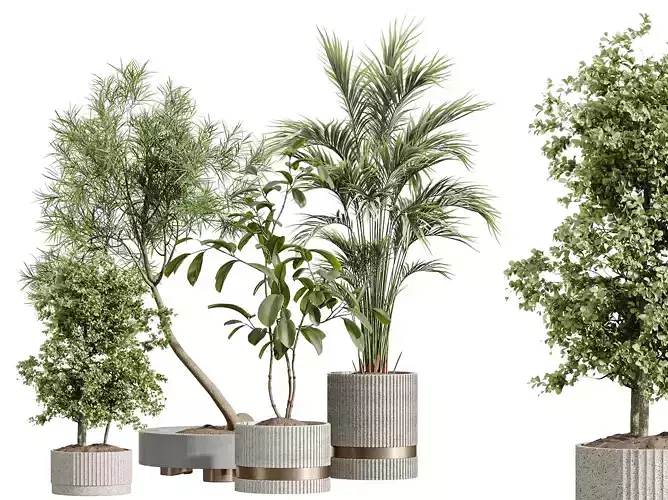 AV Indoor Plants Set 260 Palm and Ficus Marginata and Olive