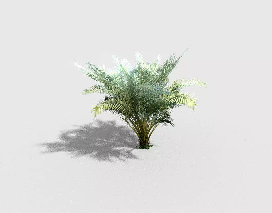 palm plant Low-poly 3D model_0