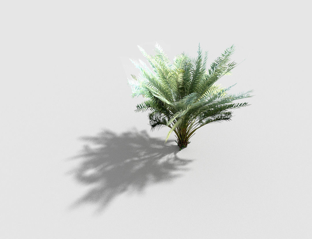palm plant Low-poly 3D model_1