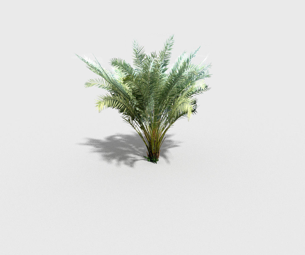 palm plant Low-poly 3D model_6