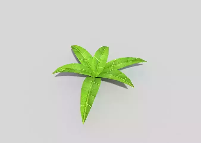 Plant leaf
