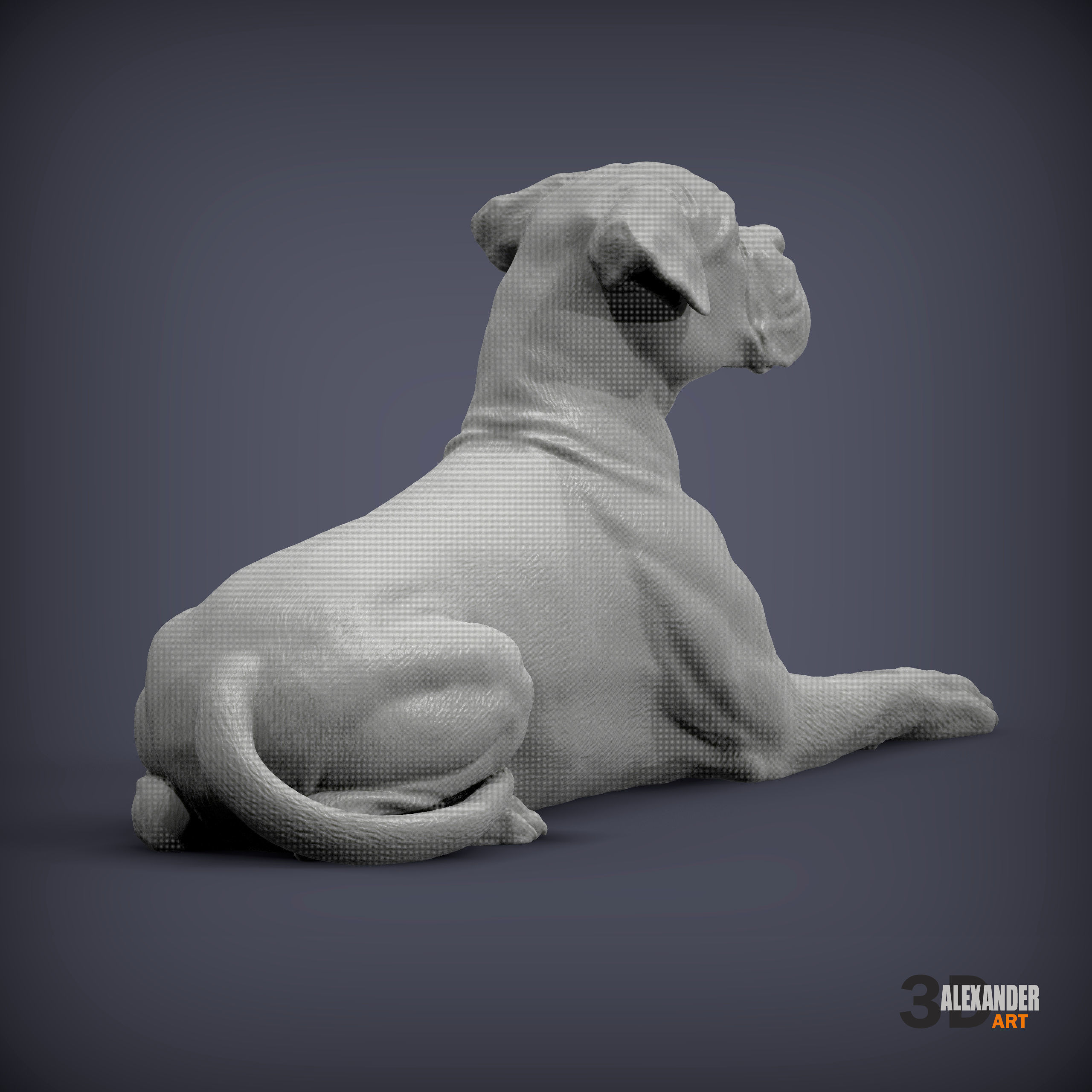  boxer dog lying down 3D print model_4