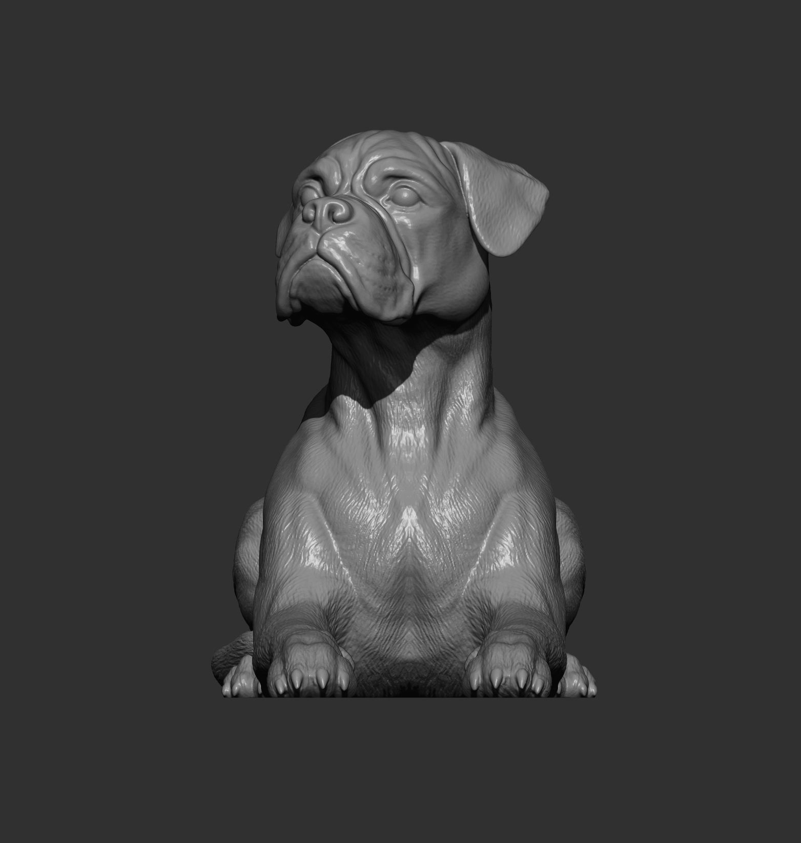  boxer dog lying down 3D print model_8