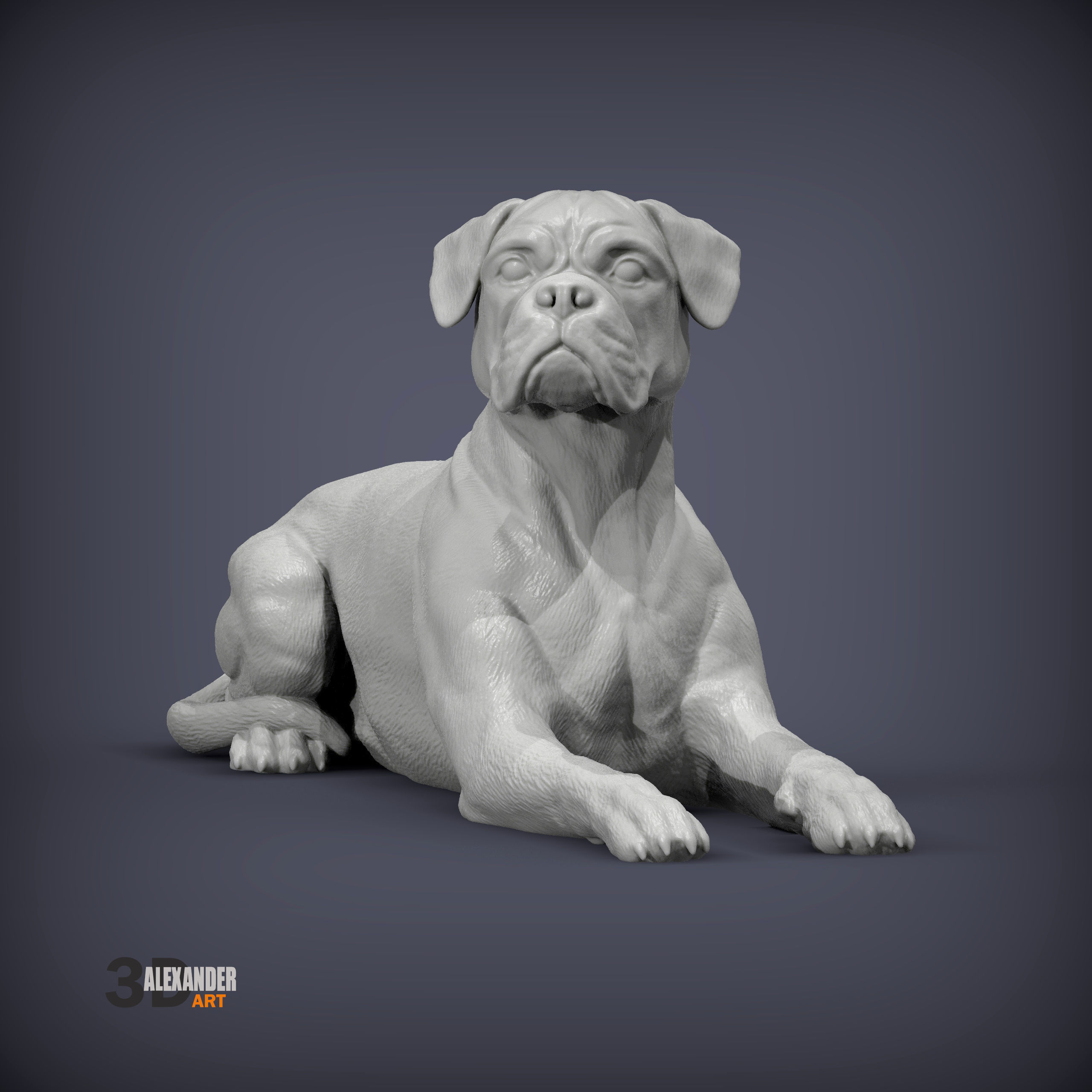  boxer dog lying down 3D print model_1