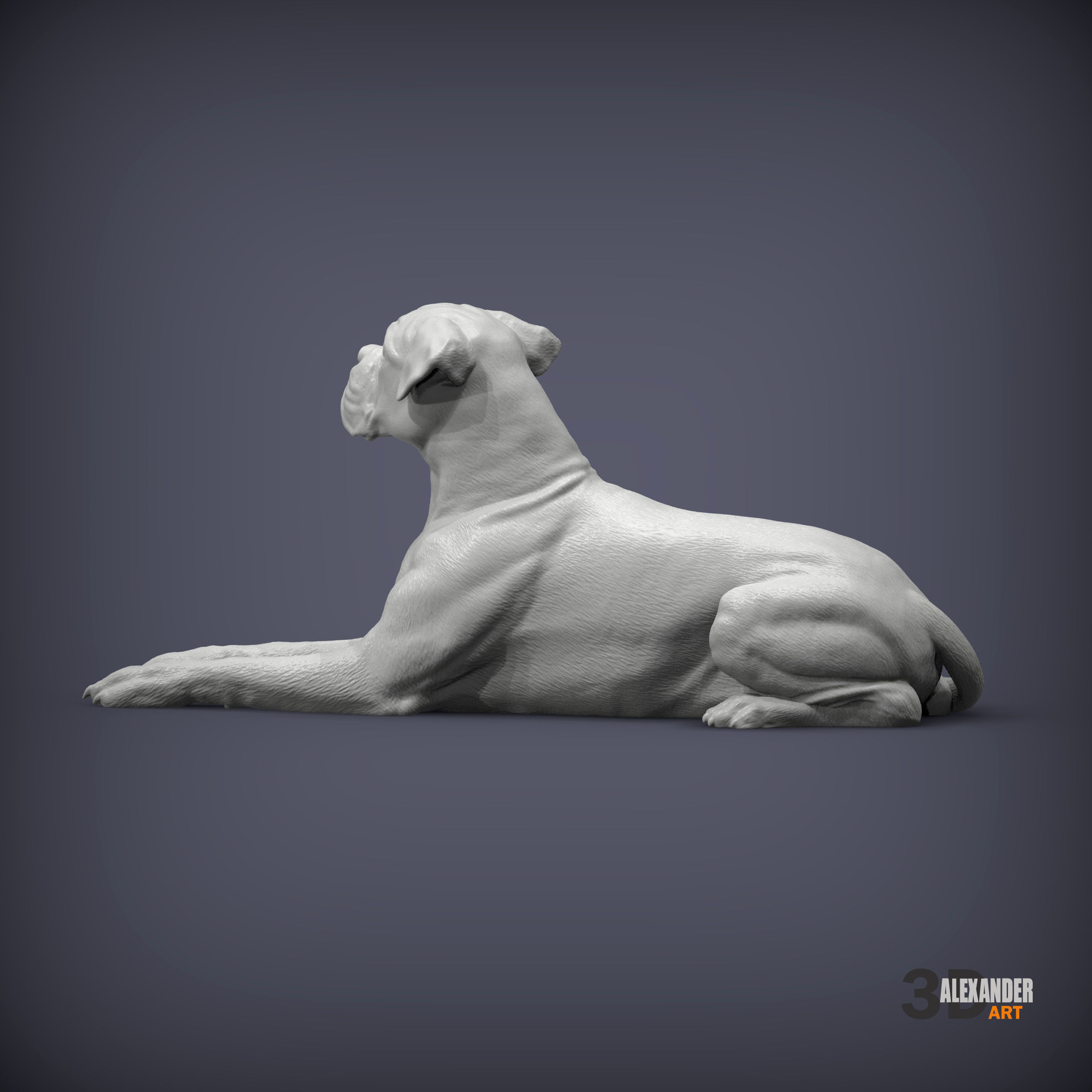  boxer dog lying down 3D print model_3