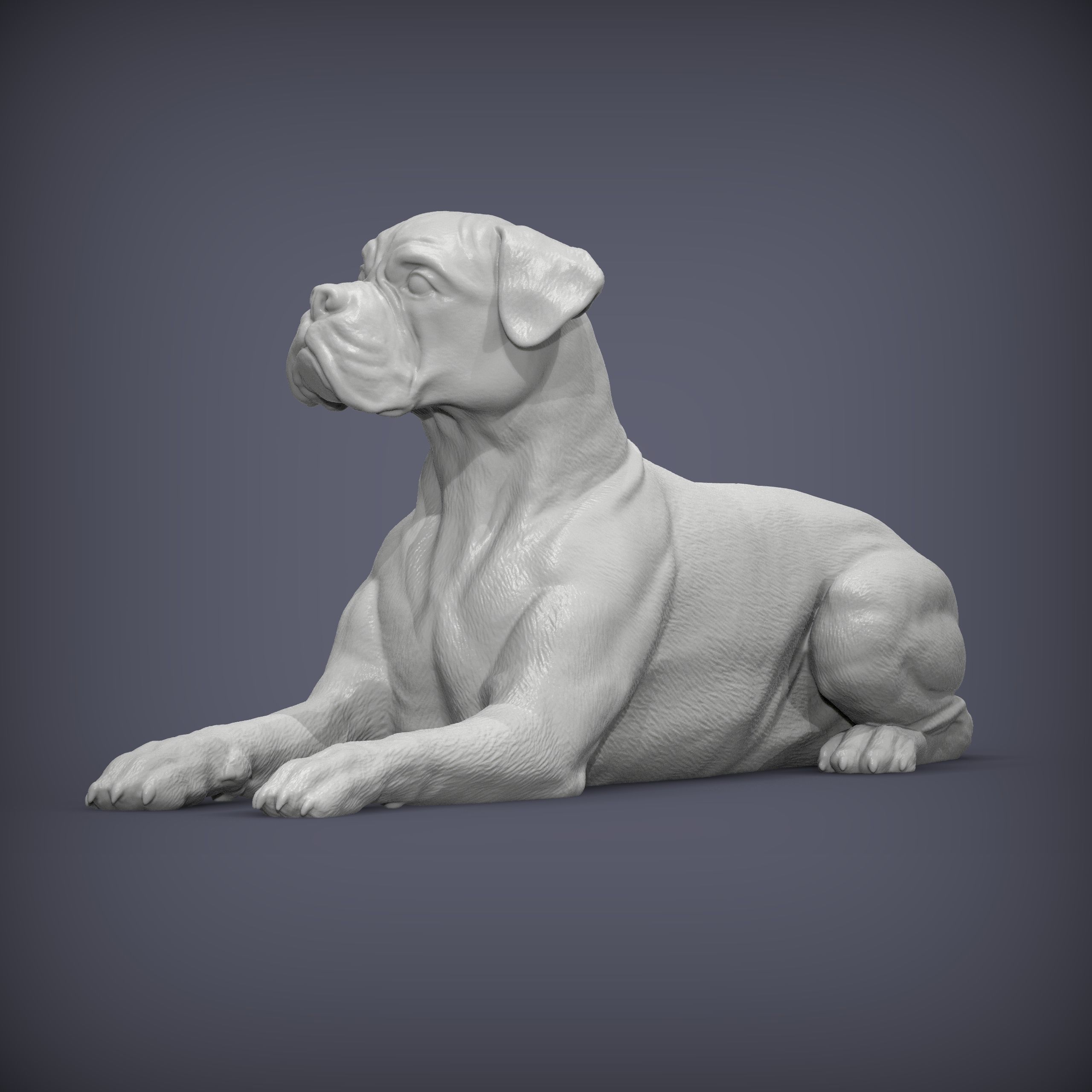  boxer dog lying down 3D print model_2