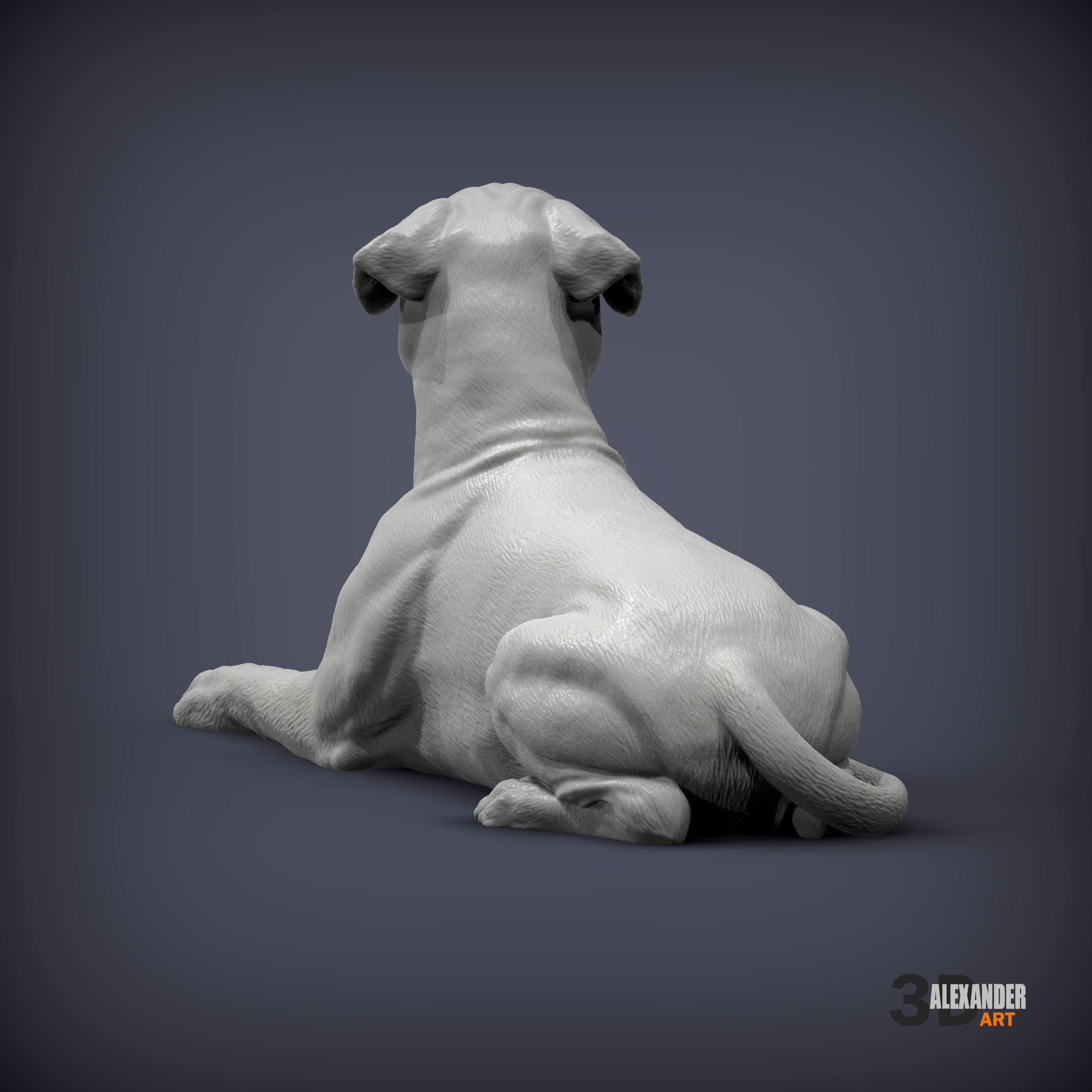  boxer dog lying down 3D print model_5