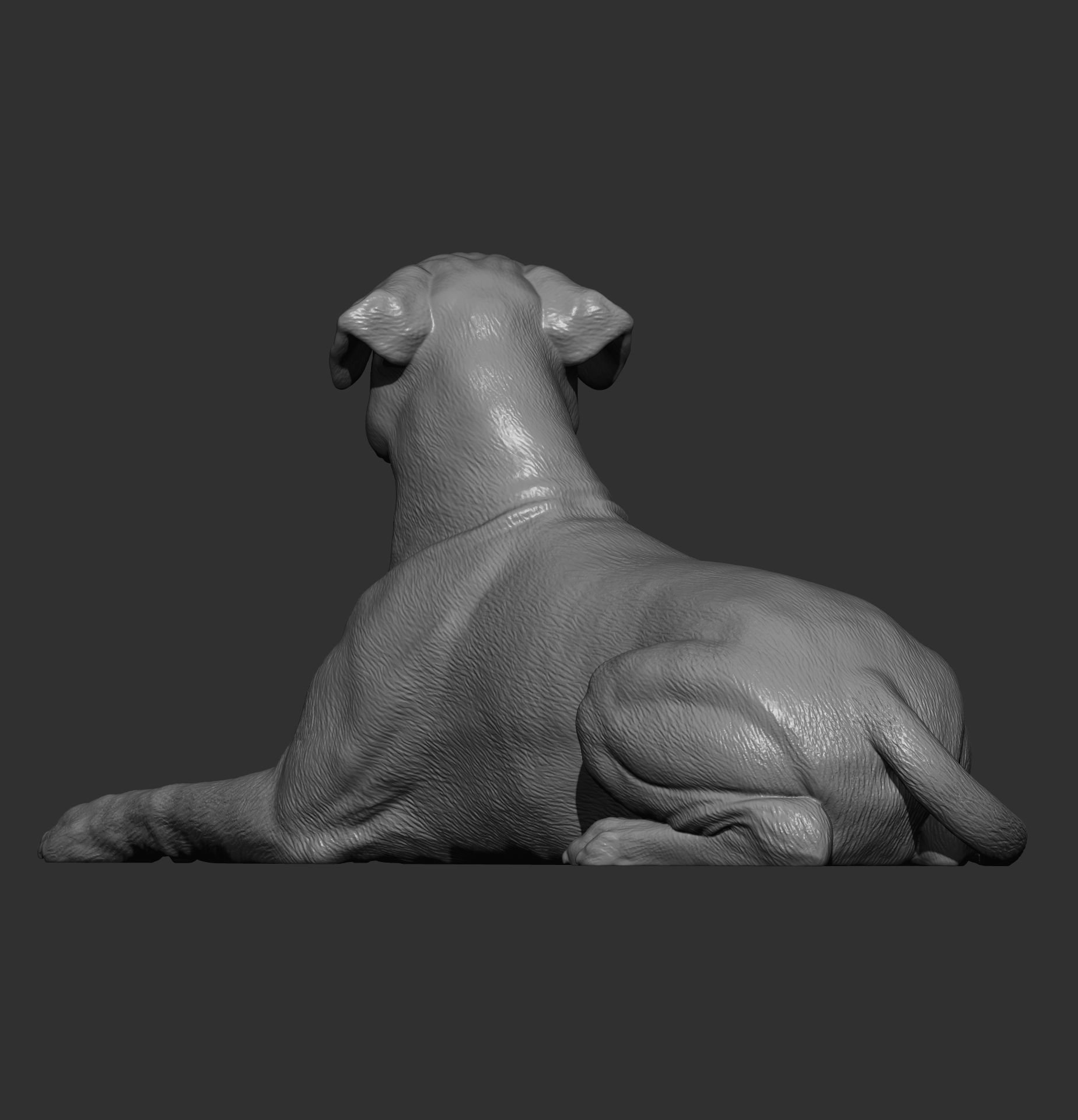  boxer dog lying down 3D print model_7