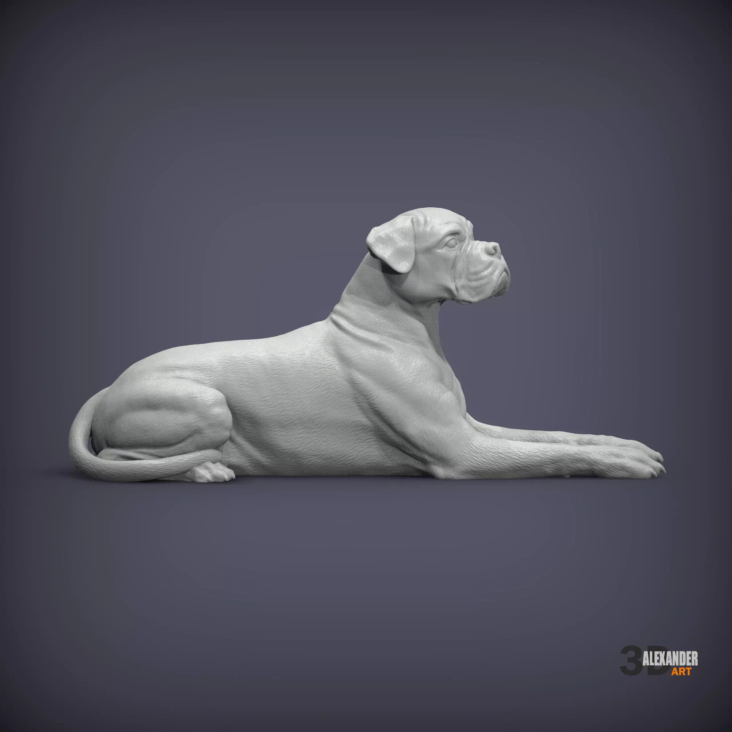  boxer dog lying down 3D print model_0
