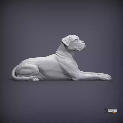  boxer dog lying down 3D print model