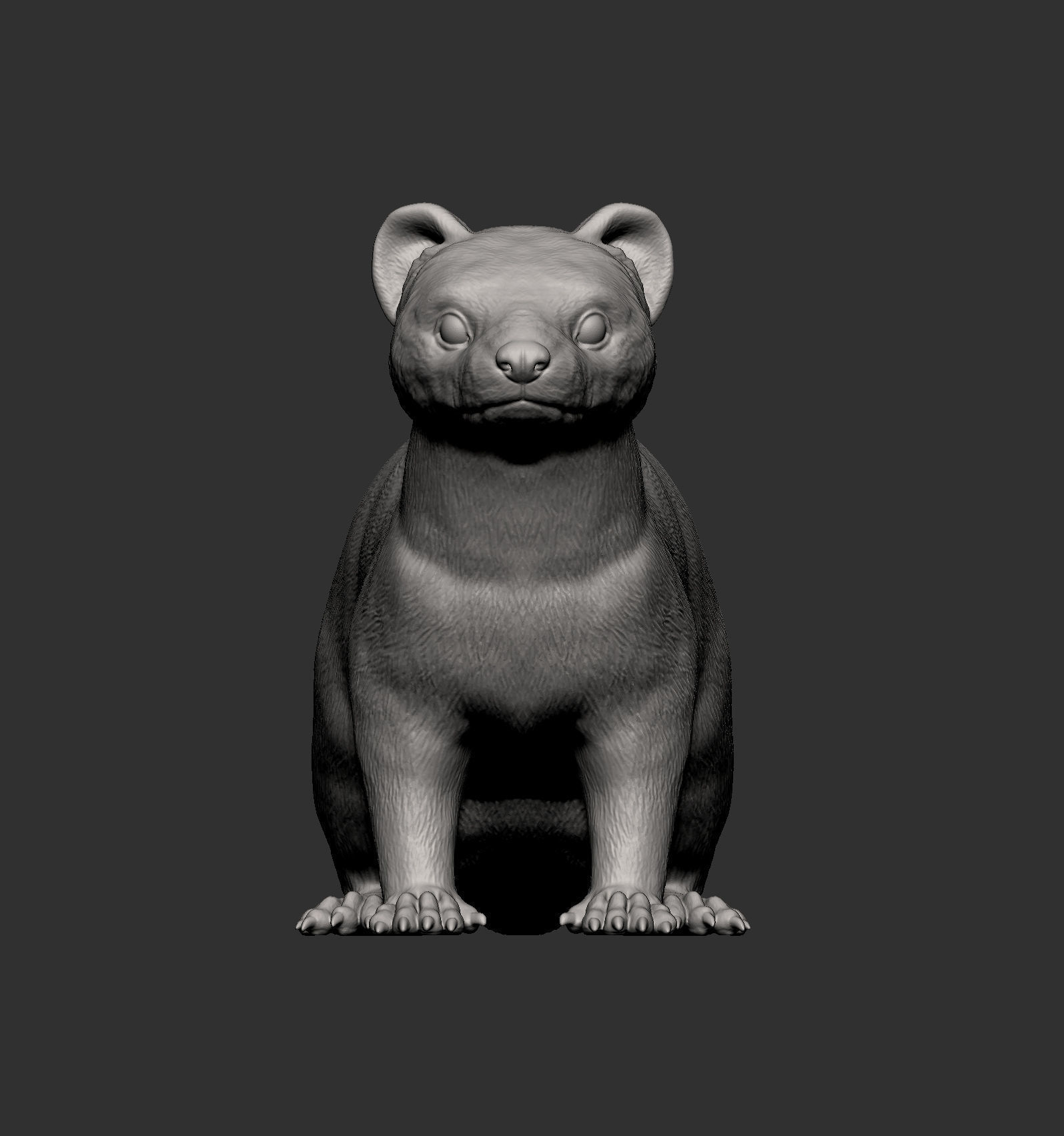 ferret 3D print model_5