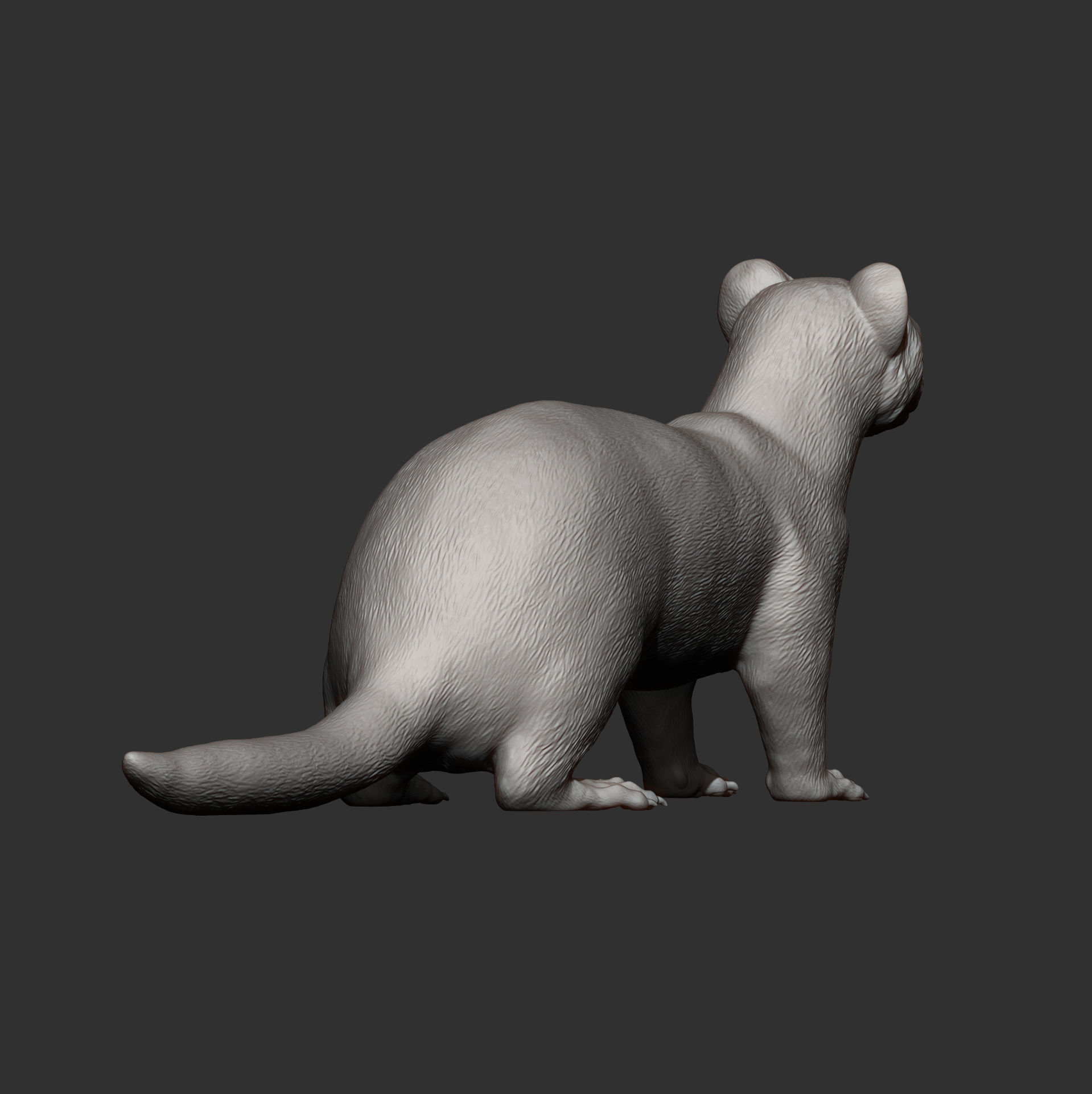 ferret 3D print model_9