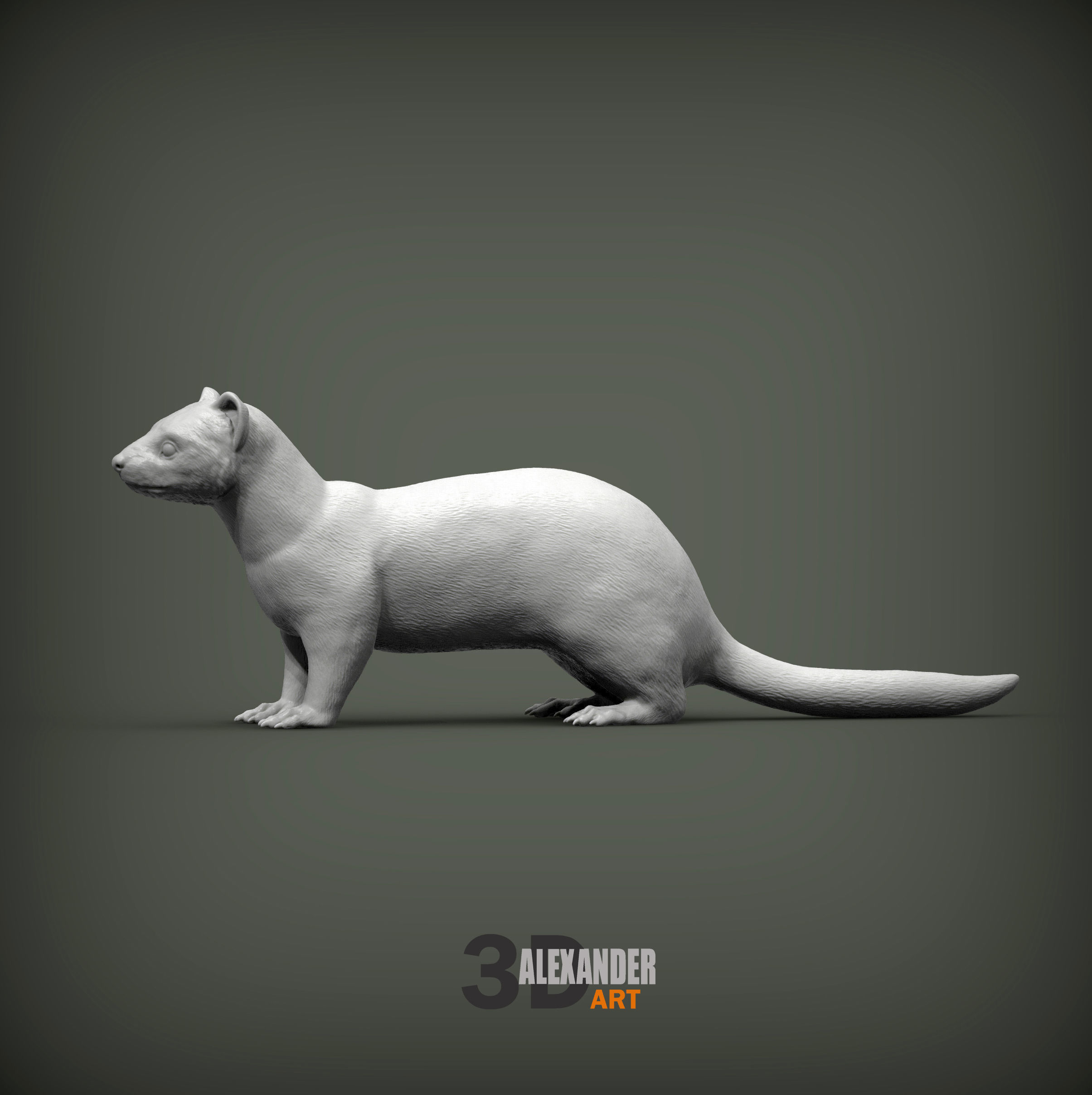 ferret 3D print model_3