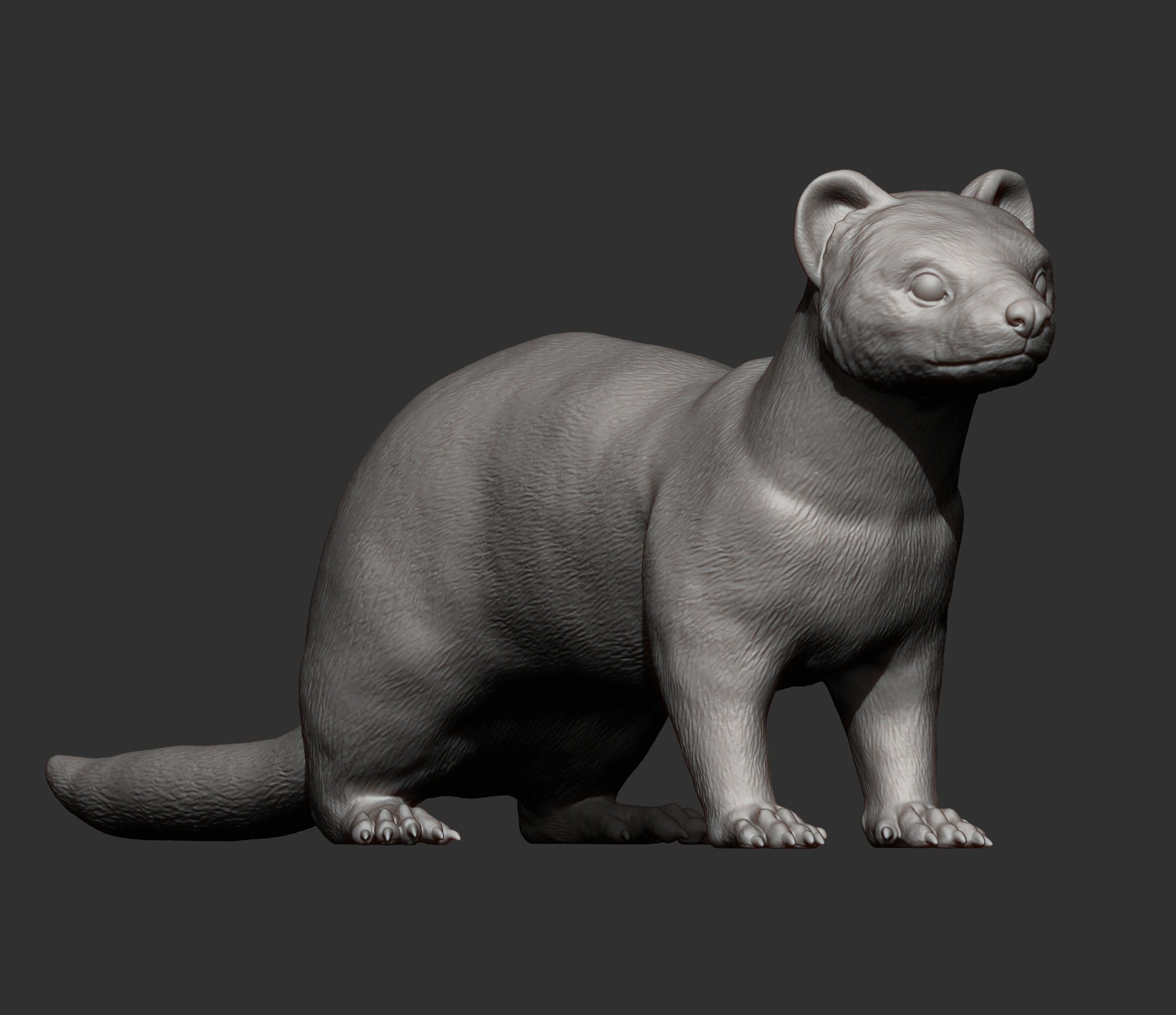 ferret 3D print model_7