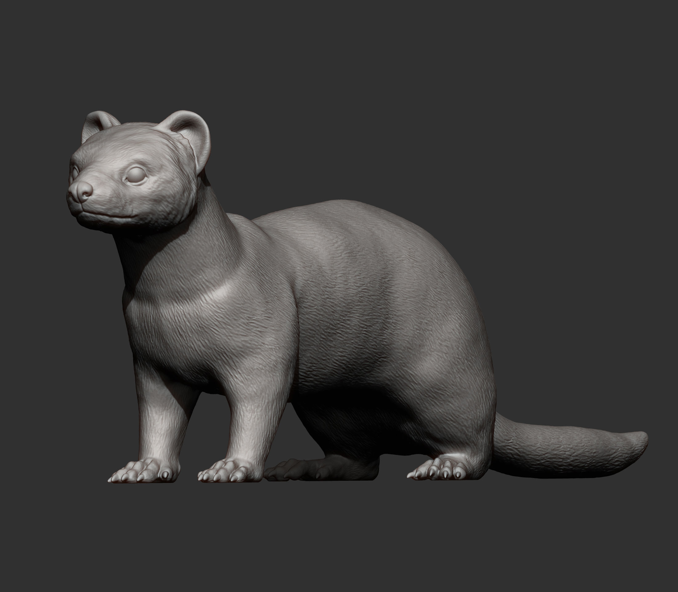 ferret 3D print model_8