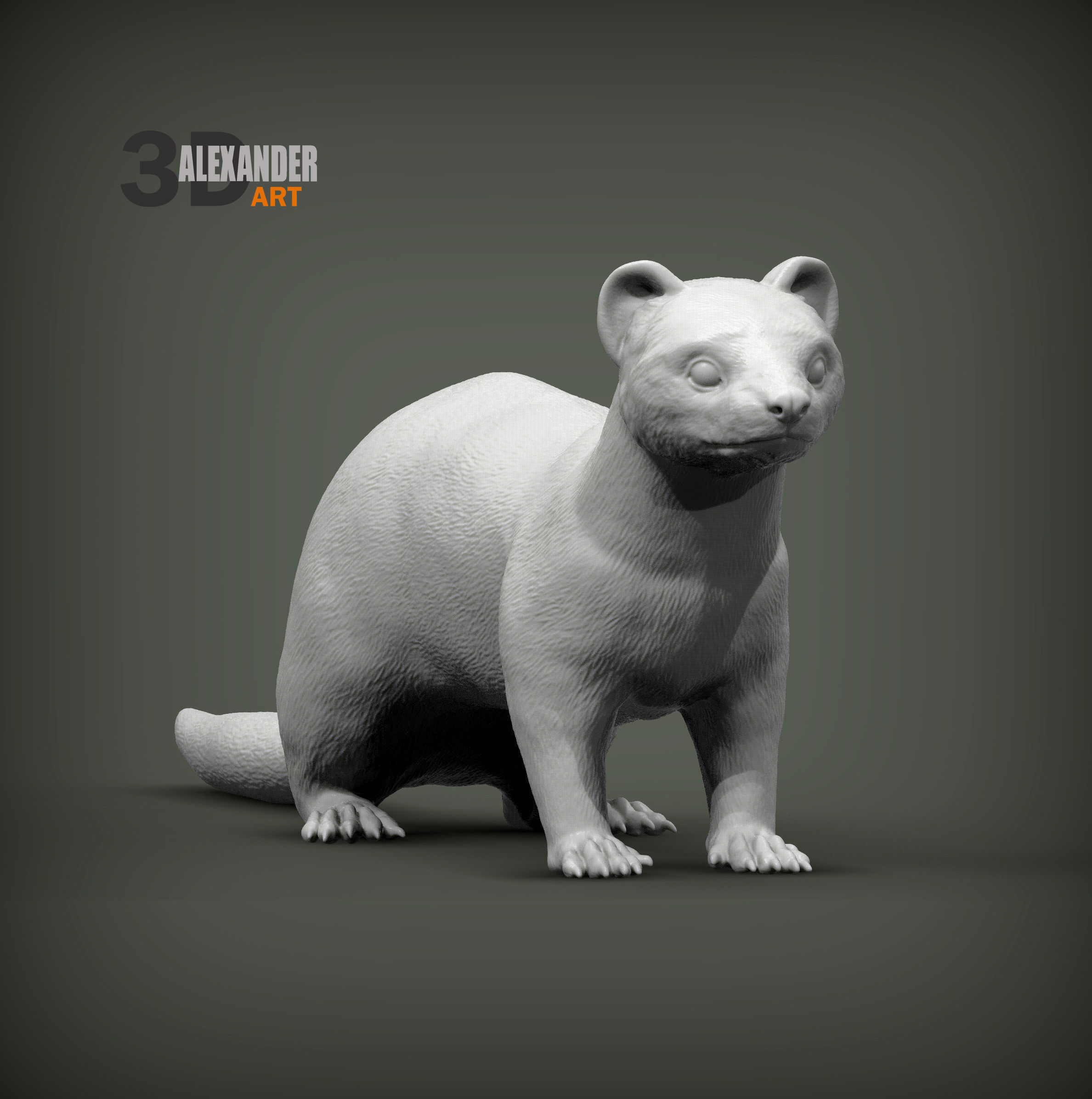 ferret 3D print model_2