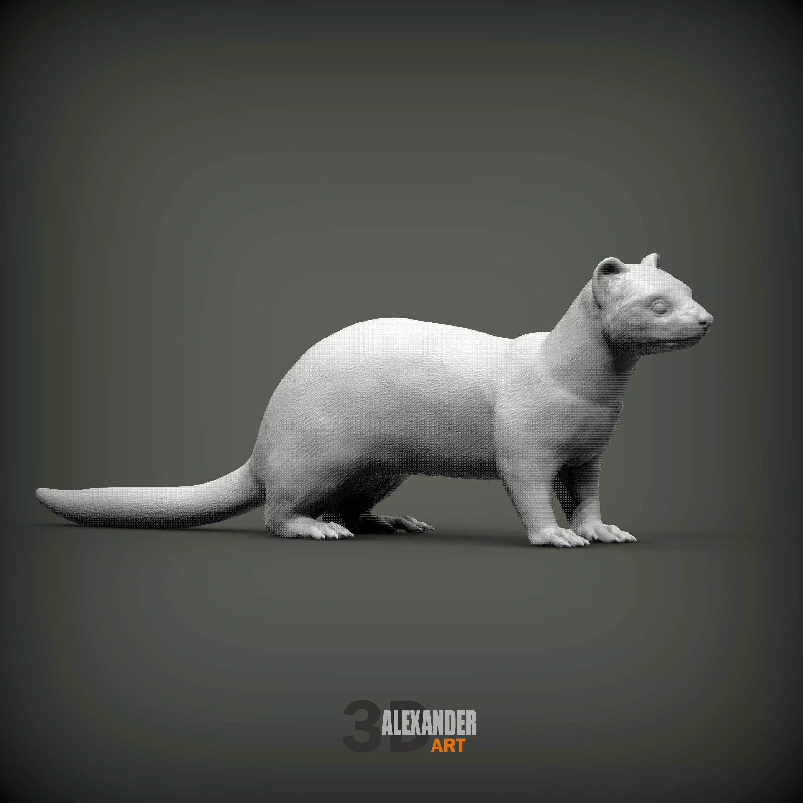 ferret 3D print model_0