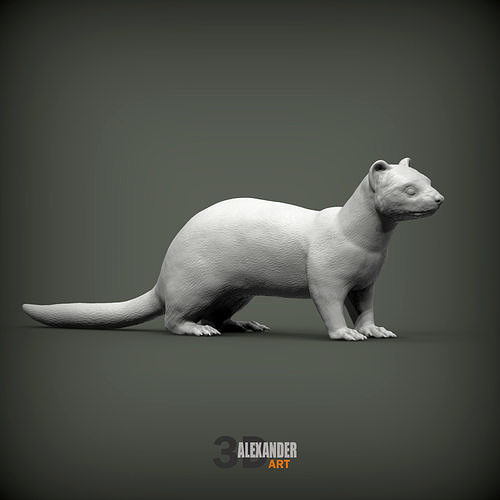 ferret 3D print model