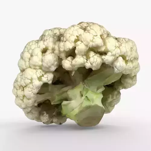 Photorealistic 3D scan of Cauliflower Head