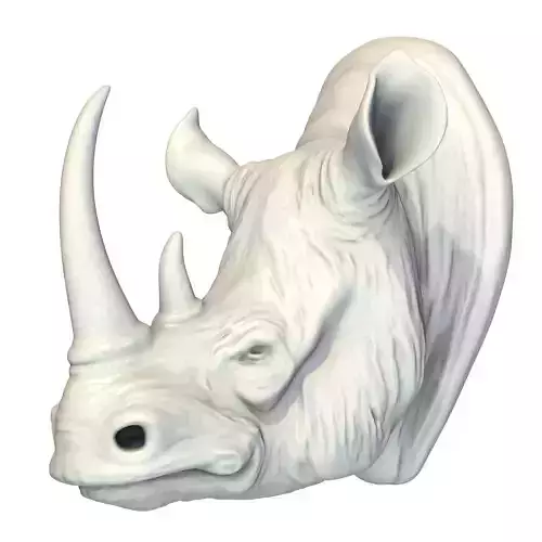 Rhino Head