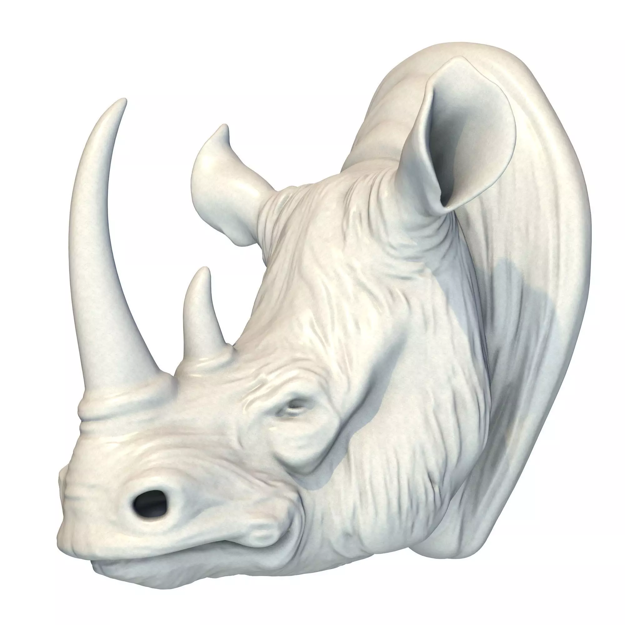 Rhino Head 3D print model