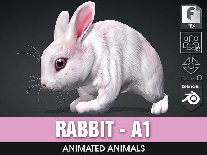 Rabbit-A1 3D model