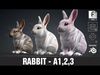 Rabbit-A1 3D model_1