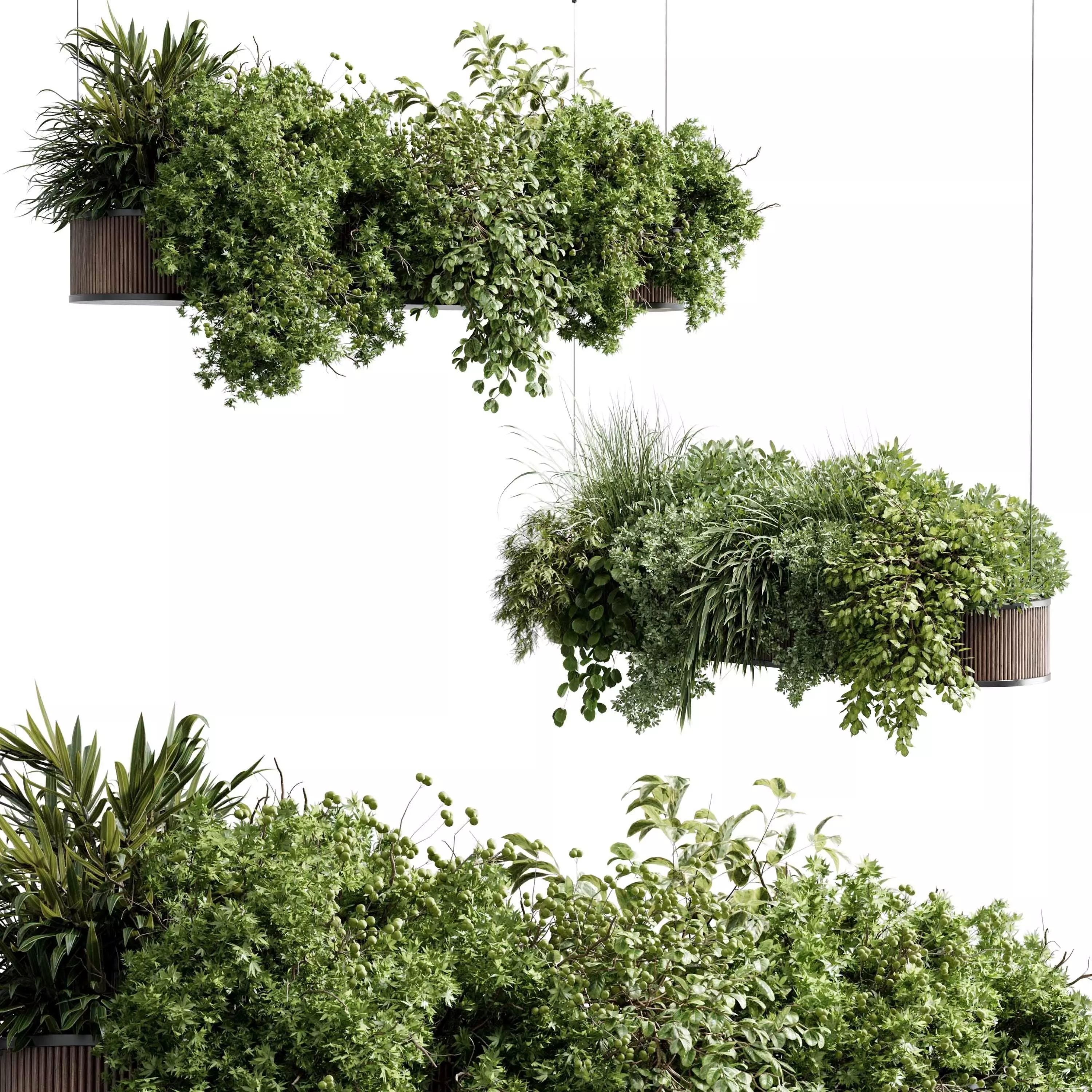 Hanging Plants - Indoor plant 505 corona 3D model