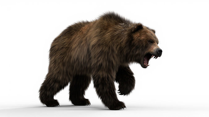 Rigged female brown bear with 4k textures and animation 3D model