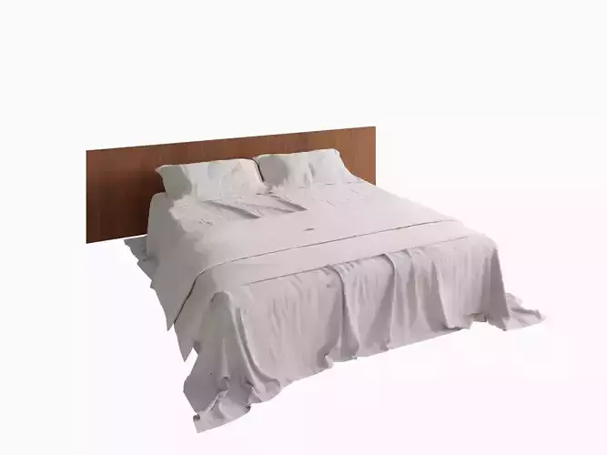 Modern Minimalist Bed with Wooden Headboard