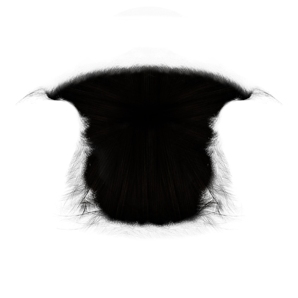 Kid girls Polo tshirt and blazer 2 sets of Model Low-poly 3D model_17