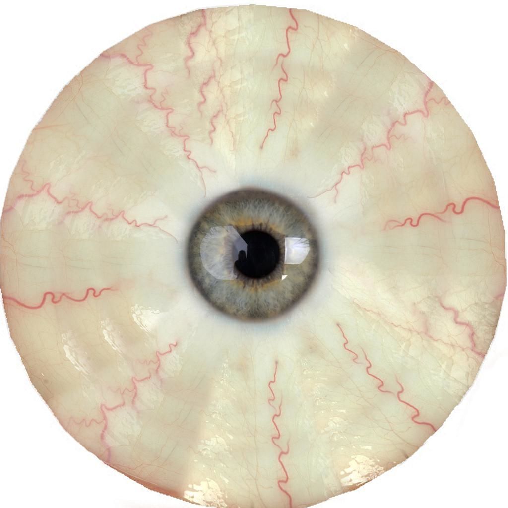 Kid girls Polo tshirt and blazer 2 sets of Model Low-poly 3D model_39