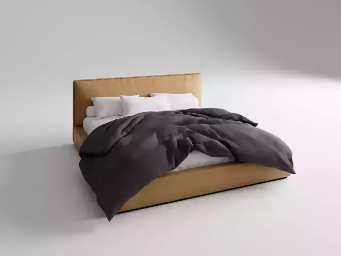 Modern Minimalist Leather Bed